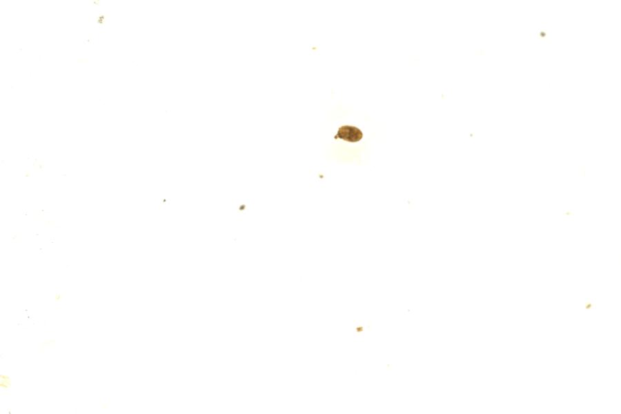 Image 207